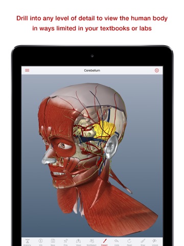 BioDigital Human: 3D Anatomy Explorer By BioDigital, Inc.