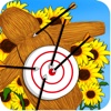 Archery and Archer