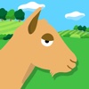 Rock The Goat