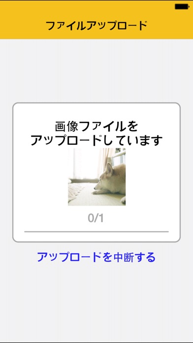 iPhone スクリーンショット 5