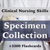 Nursing Specimen Collection/3200 Flashcards, Terms, Exam Prep & Case Files Medical