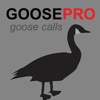 Canada Goose Calls & Goose Sounds for Hunting - BLUETOOTH COMPATIBLE canada goose 