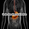 Understanding Acid Reflux acid dreams torrent