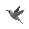 Colibri - 格安航空券