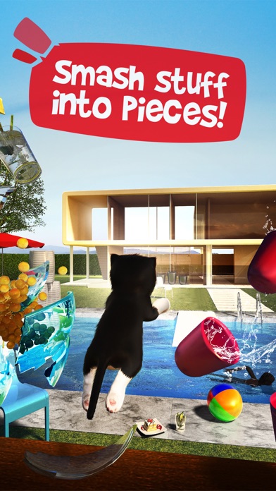 Screenshots of Cat Simulator 2015 for iPhone