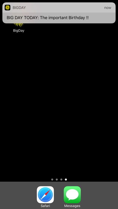 iPhone Screenshot 5