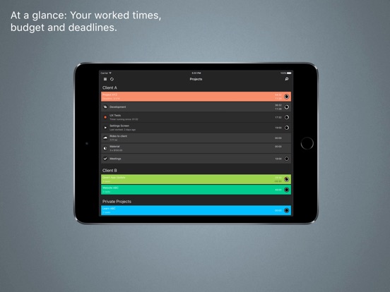 iPad Screenshot 1