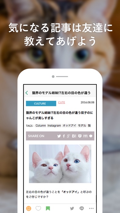 にゃんこGoGo - 猫好きによる猫好きのための写真満載ニュースアプリのおすすめ画像3