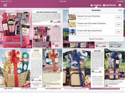 iPad Screenshot 4