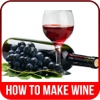How To Make Wine - Make Grape Wine By means of Fermentation in classroom fermentation 