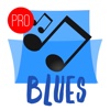Blues Music Pro - Radio, Blues Songs & Festival News blues 