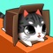 Kitty in the Box