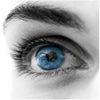 MT-Vision