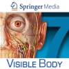Human Anatomy Atlas 7 for Springer – 3D Anatomical Model of the Human Body artists simply human 