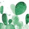 Cactus Pattern Wallpapers HD: Zitate Hintergründe mit Design Bilder
