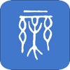 Music Dict