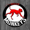 Monkeys London