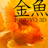 Rooty Pict - Kingyo 3D アートワーク