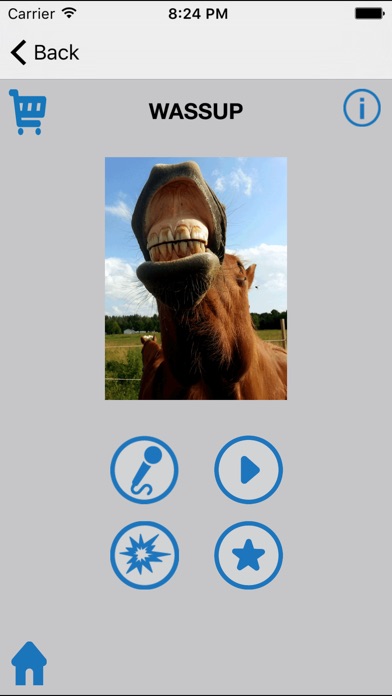 iPhone Screenshot 3