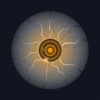 Dronify