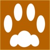 FelineNotes