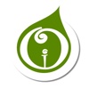 iOrganic Church