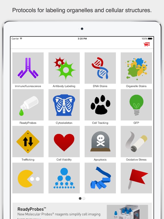 iPad Screenshot 1