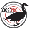 Goose Hunting Calls-Goose Sounds-Goose Call App canada goose 
