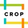 Crop on the Fly