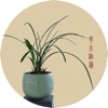 花木租赁