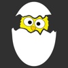 Hatched NYC