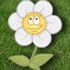Grow: Water the Garden Flowers easy to grow flowers 