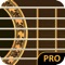 Friend's Guitar Pro