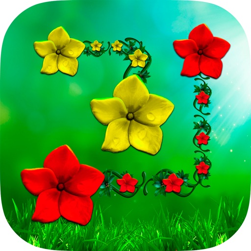 Lines of flowers - Summer days iOS App