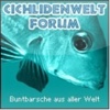 Cichlidenwelt