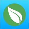 Reflex Leaf
