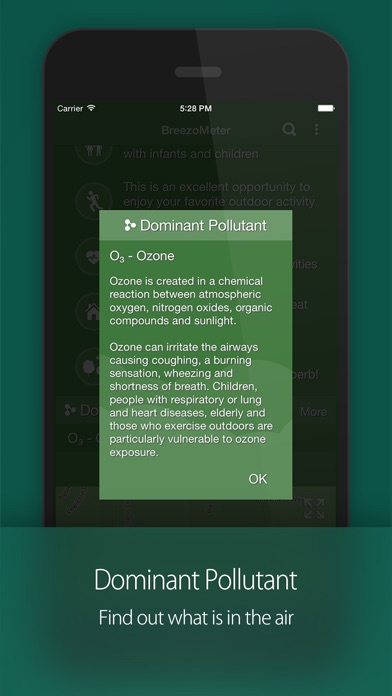 iPhone Screenshot 4