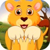 pet animal nail doctor