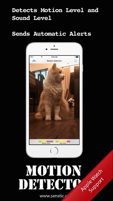iPhone Screenshot 1