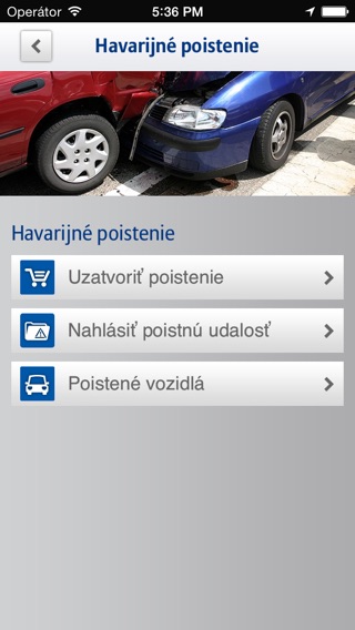 iPhone Screenshot 5