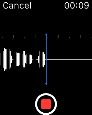 iPhone Screenshot 2