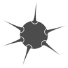 Spiny Hedgehog