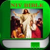 NIV Bible.