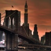 Fun in Brooklyn