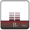 BreviT