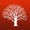 Synium Software GmbH - MobileFamilyTree 8 アートワーク