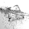 Scotsman Ice