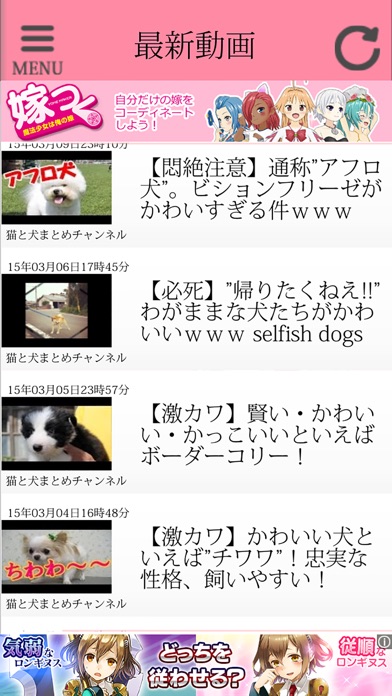 Telecharger 犬猫ちゃんねる Pour Iphone Sur L App Store Divertissement