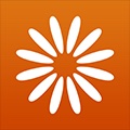 DaisyCircle