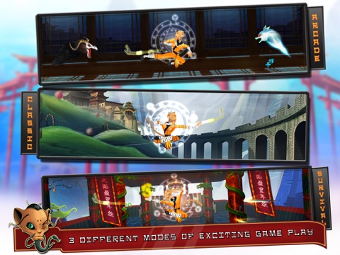 iPad Screenshot 3
